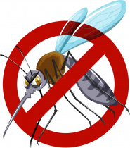 25 апреля - Всемирный день борьбы с малярией!