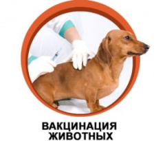 на территории Гагаринского муниципального округа государственной ветеринарной службой будут проводиться противоэпизоотические мероприятия!!