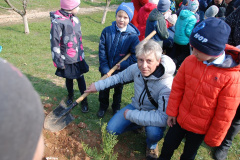 В школах Гагаринского района будет дополнительно высажено 150 деревьев