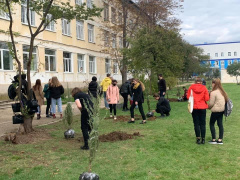 Гагаринские школьники приняли участие в высадке кустарников